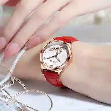 OLEVS PU 30 S-5581-1