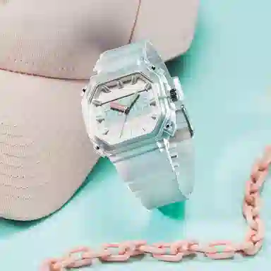 Dickies 453 Series Limited Edition