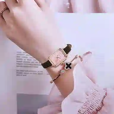 JULIUS JL ins JW1-255A