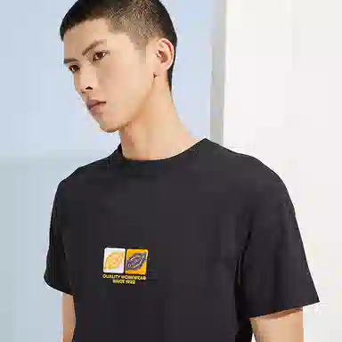 Dickies SS22 logoT