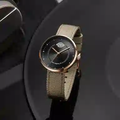 Dickies 34mm 200F60LYXCL-143V5-B7-A