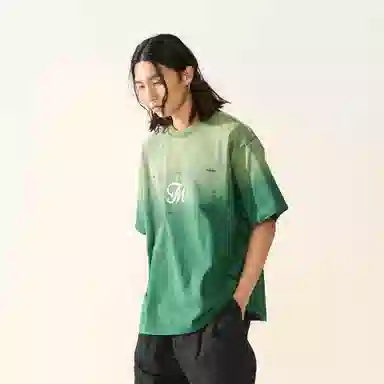 FEAROM T