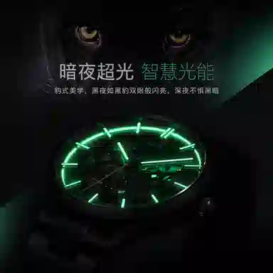 IW CARNIVAL HWGUOJI DW8588G