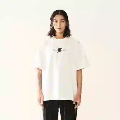 FEAROM T