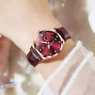 OLEVS PU 30 S-5580-2