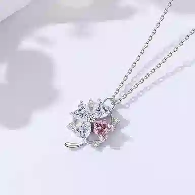 CHIEMOT s925250