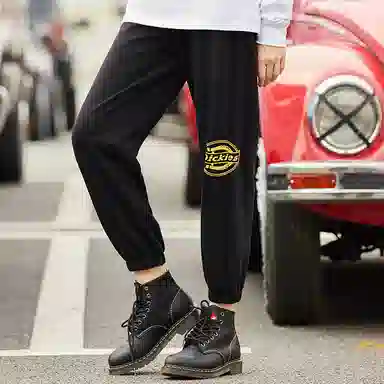 Dickies SS22 Logo
