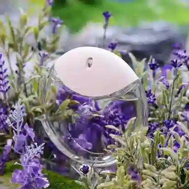 EDP 30ml50ml90ml 20ml+