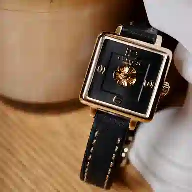 COACH Cass Watch 14503695