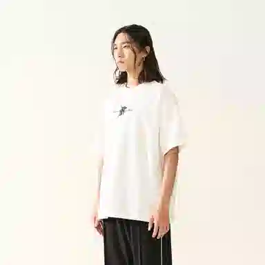 FEAROM T