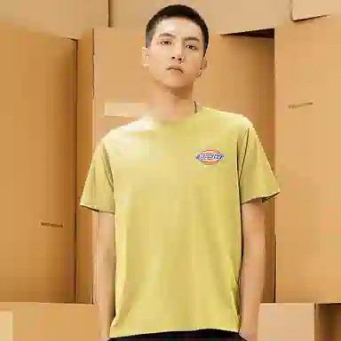 Dickies LogoT