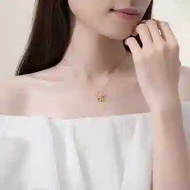 AWD ins S925