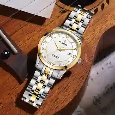 TANGIN 18K 41mm T3025GYWJB