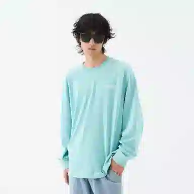 FEAROM T
