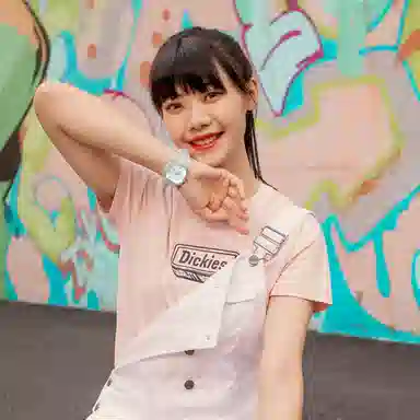 Dickies 453 Series Limited Edition