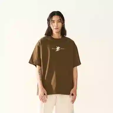 FEAROM T