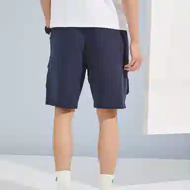 Dickies SS22 Navy Shorts