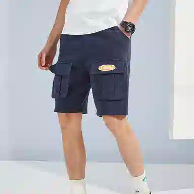 Dickies SS22 Navy Shorts