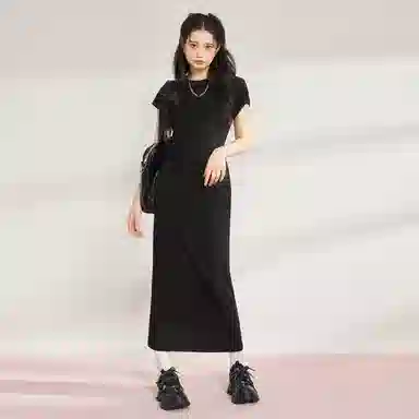 WESTLINK T