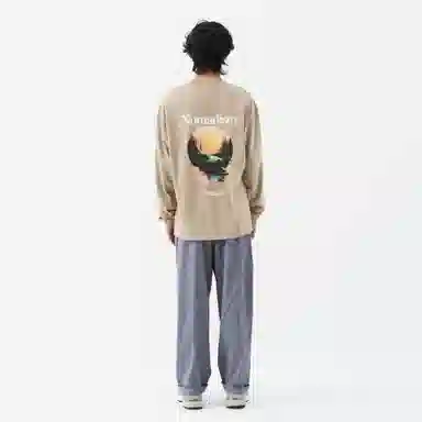 FEAROM T