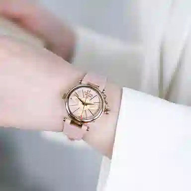 Vivienne Westwood DWVV006PKPK