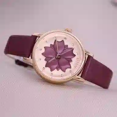 JULIUS JL 30 JW1-000D