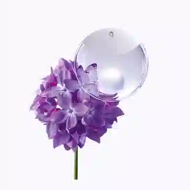 EDP 30ml50ml90ml 20ml+