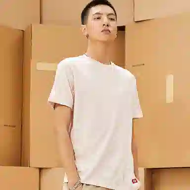 Dickies logoT