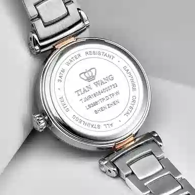 TIANWANG SHINE LS3981