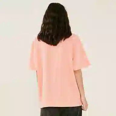 ICONS Lab T