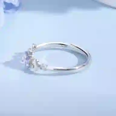 ins S925
