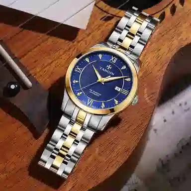 TANGIN 18K 41mm T3025GYBJB