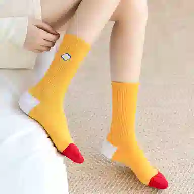 ins 5