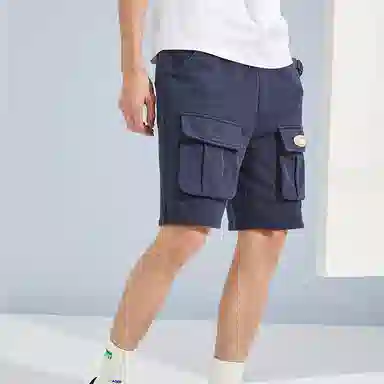 Dickies SS22 Navy Shorts