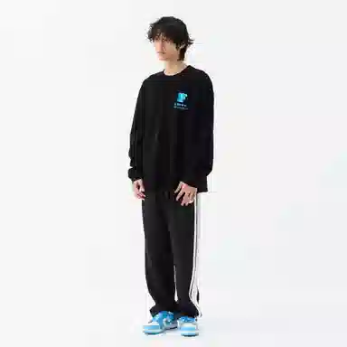 FEAROM T