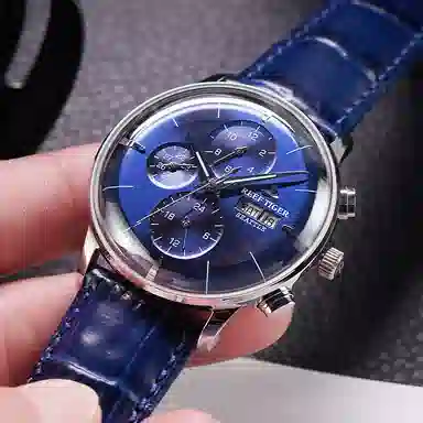 REEF TIGER RGA1699-PBLL