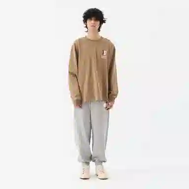 FEAROM T