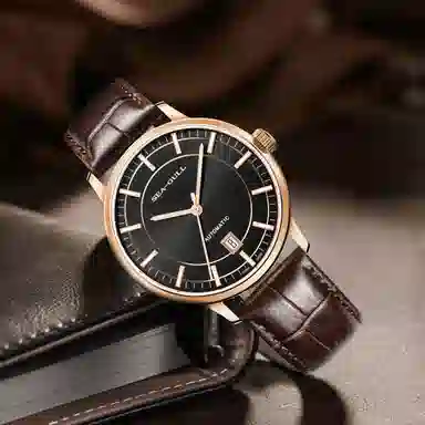 Sea-Gull 519.22.6008