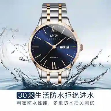 IW CARNIVAL HWGUOJI DW8529G