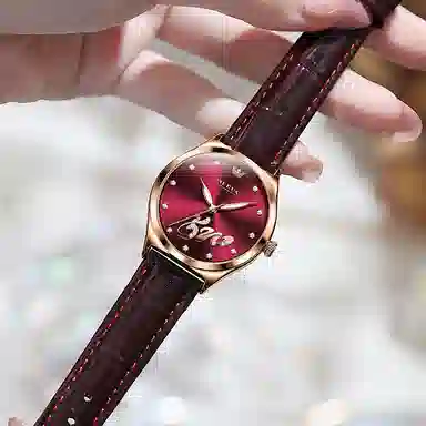 OLEVS PU 30 S-5581-1