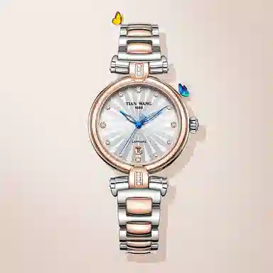 TIANWANG SHINE LS3981