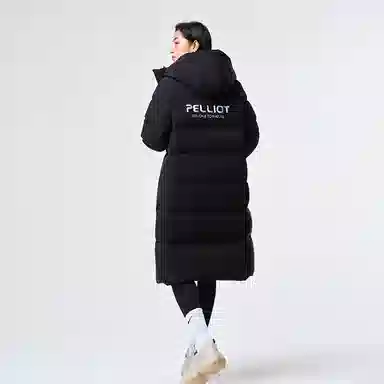PELLIOT 650