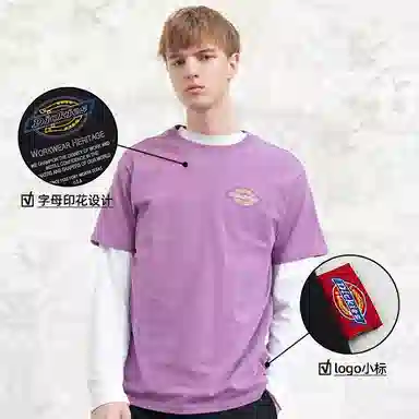 Dickies SS21 logoT
