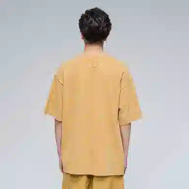 FEAROM T