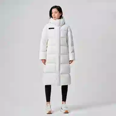 PELLIOT 650