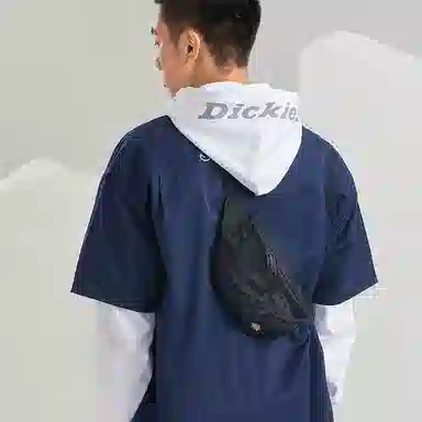 Dickies Logo
