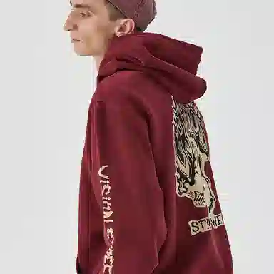 Vision Street Wear Flame Series Hoodie