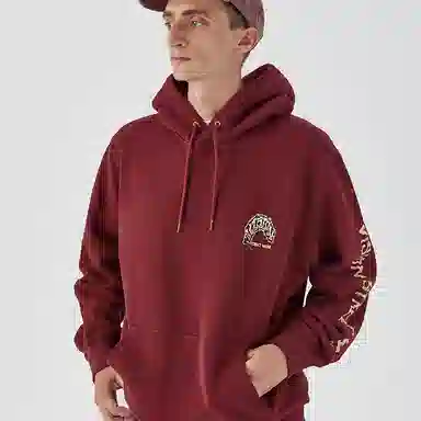 Vision Street Wear Flame Series Hoodie