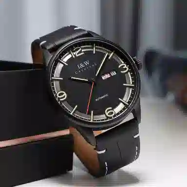 IW CARNIVAL HWGUOJI DW578G