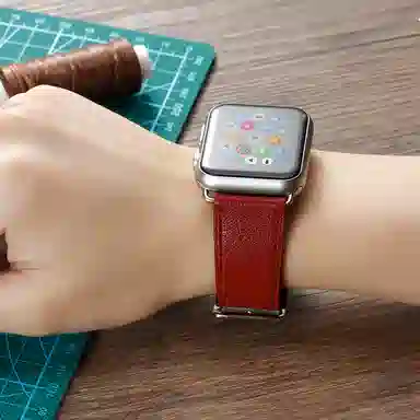 ZS Apple Watch 38-45mm 2111264